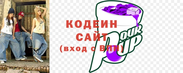 индика Богородицк