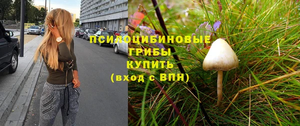 индика Богородицк