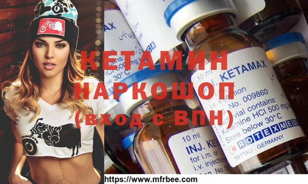 индика Богородицк