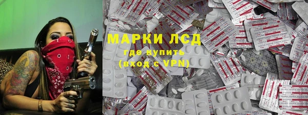 индика Богородицк