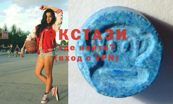 индика Богородицк