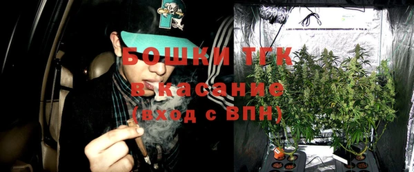 ГАЛЛЮЦИНОГЕННЫЕ ГРИБЫ Богданович