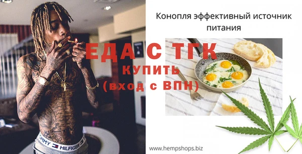 индика Богородицк
