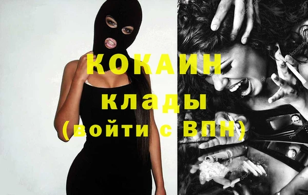 ГАЛЛЮЦИНОГЕННЫЕ ГРИБЫ Богданович