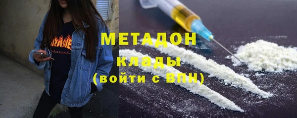 индика Богородицк
