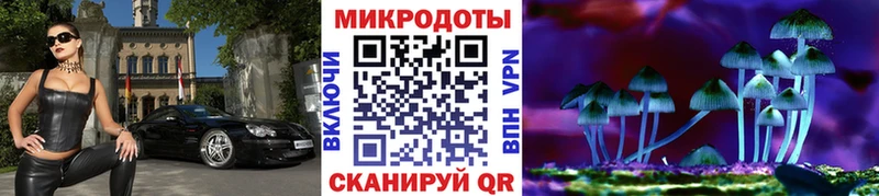 купить  сайты  ОМГ ОМГ вход  darknet Telegram  Гай  Галлюциногенные грибы мицелий 