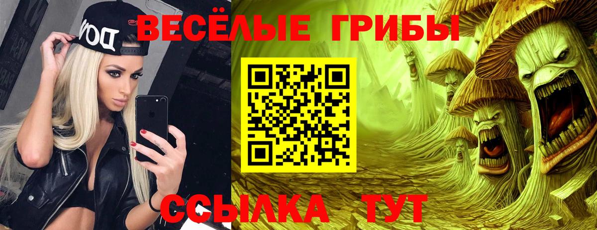 Псилоцибиновые грибы Cubensis Гай