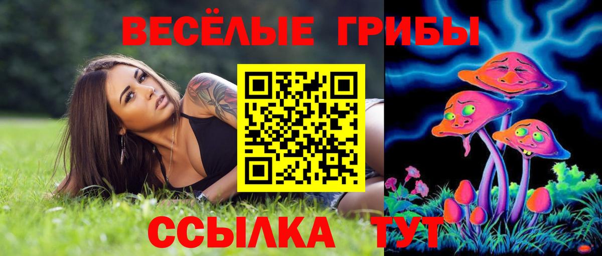Гай  Псилоцибиновые грибы ЛСД  Галлюциногенные грибы MAGIC MUSHROOMS  Вход с VPN 