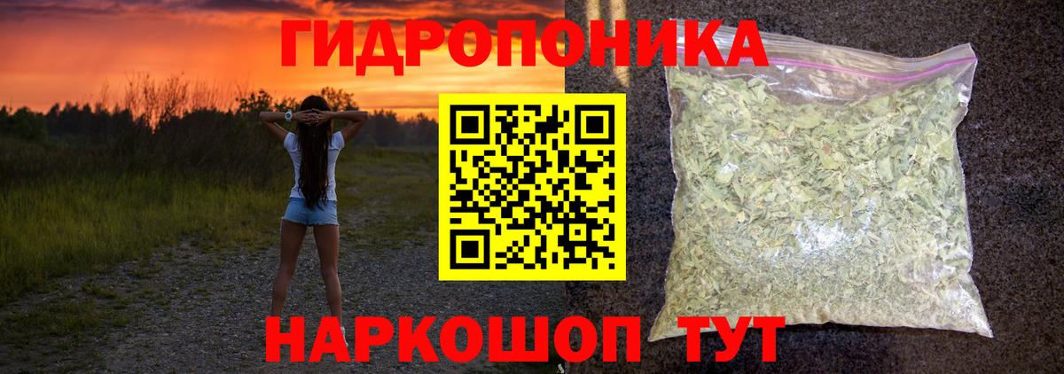 МАРИХУАНА SATIVA & INDICA Гай